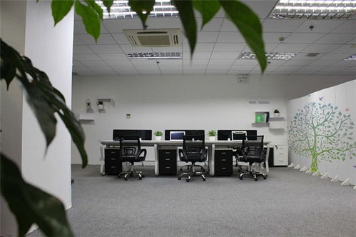 網(wǎng)頁(yè)設(shè)計(jì)新篇章 百創(chuàng)互聯(lián)如何以優(yōu)質(zhì)服務(wù)引領(lǐng)網(wǎng)絡(luò)咨詢新趨勢(shì)